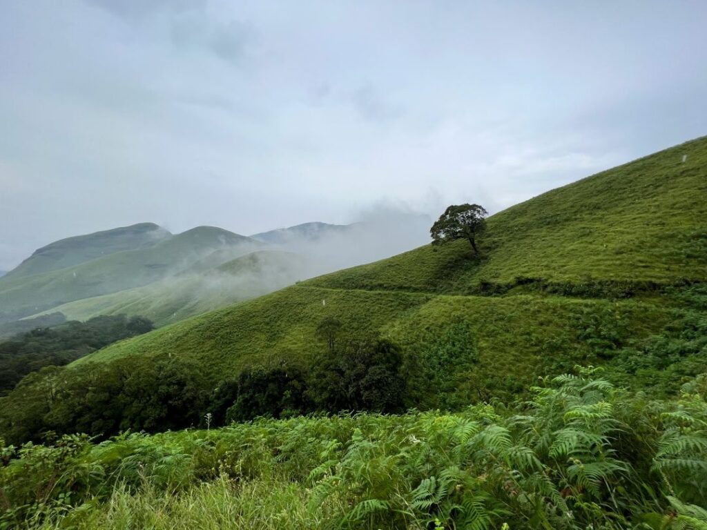 Scenic view of lush green hills and misty valleys during the Kudremukh Trek in Karnataka, India.